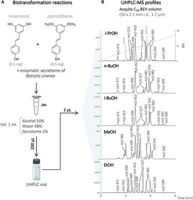 Chemoenzymatic Synthesis of Original Stilbene Dimers Possessing Wnt Inhibition Activity in Triple-Negative Breast Cancer Cells Using the Enzymatic Secretome of Botrytis cinerea Pers.